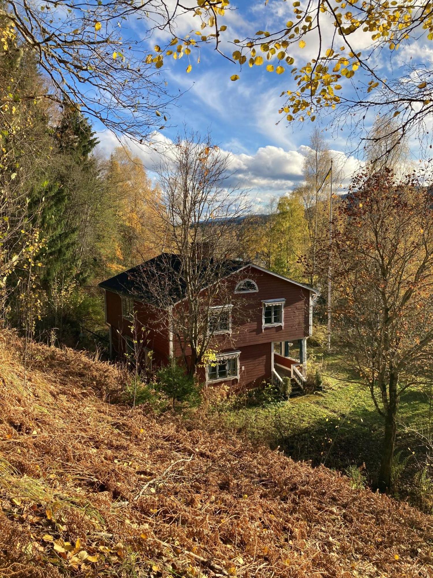 Charmig Villa Med Bastu Och Snabbt Wifi Långav Buitenkant foto